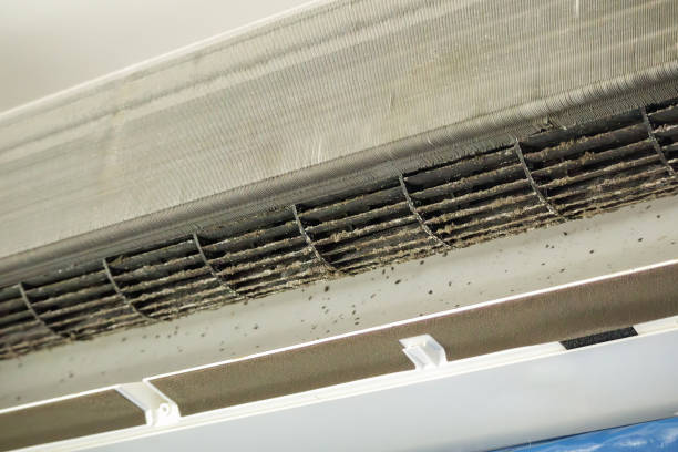 Best Home Air Vent Cleaning  in Midlothian, VA